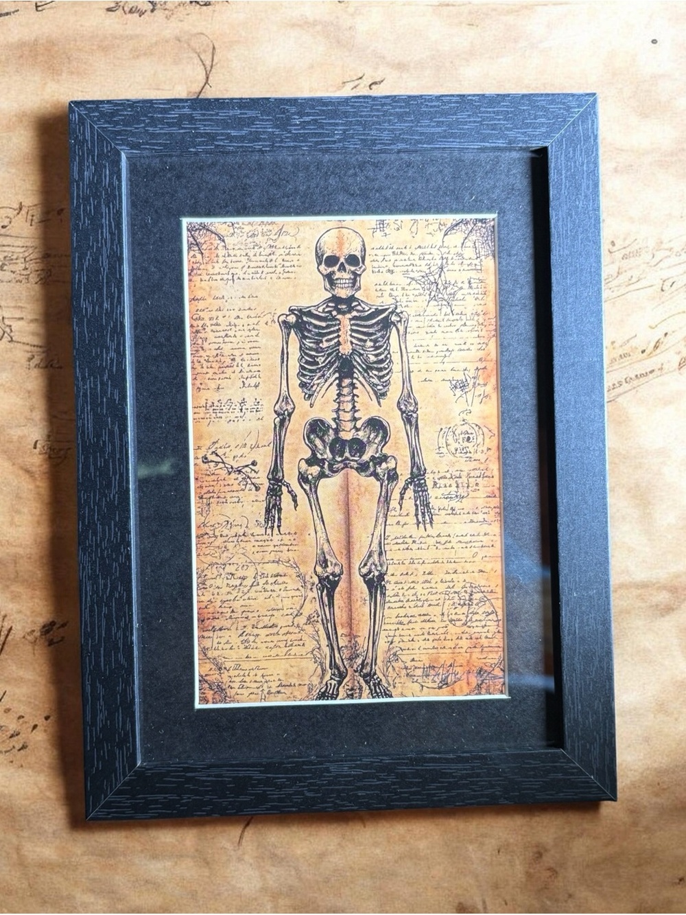 Vintage Skeleton Anatomy Framed Art 5x7 Gothic Medical Dark Academia Decor